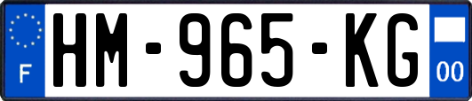 HM-965-KG