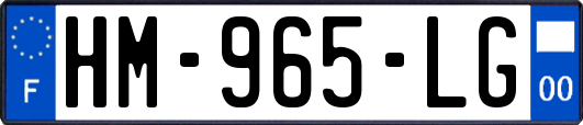 HM-965-LG