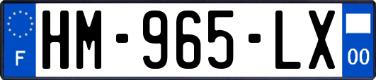 HM-965-LX