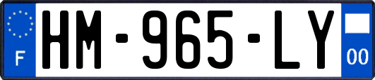 HM-965-LY