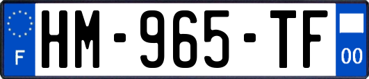 HM-965-TF
