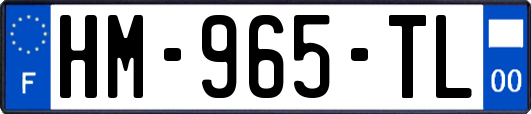 HM-965-TL