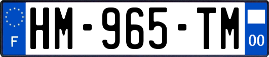 HM-965-TM