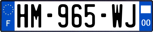 HM-965-WJ