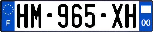 HM-965-XH