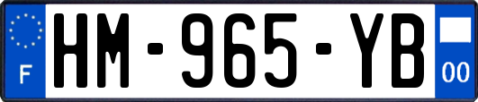 HM-965-YB