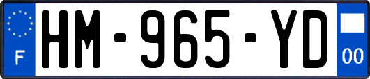 HM-965-YD
