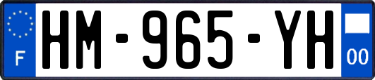 HM-965-YH