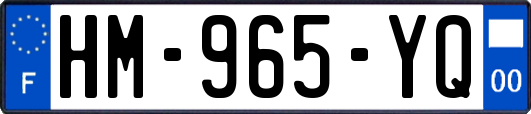 HM-965-YQ