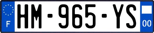 HM-965-YS