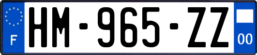 HM-965-ZZ