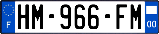HM-966-FM