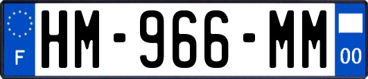 HM-966-MM