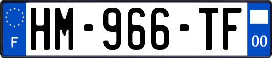 HM-966-TF