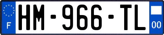 HM-966-TL
