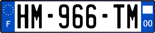 HM-966-TM