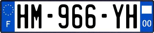 HM-966-YH