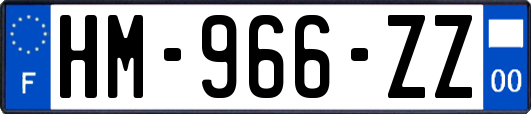 HM-966-ZZ