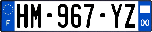 HM-967-YZ
