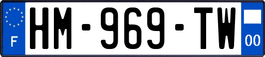 HM-969-TW