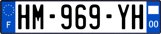 HM-969-YH