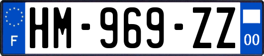 HM-969-ZZ