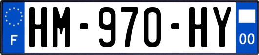 HM-970-HY