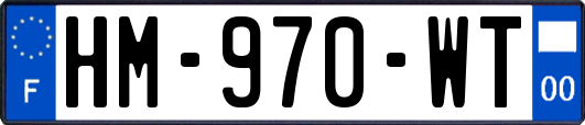 HM-970-WT