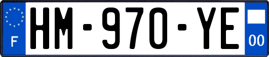 HM-970-YE