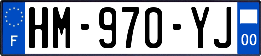 HM-970-YJ