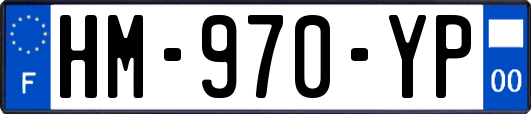 HM-970-YP