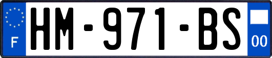 HM-971-BS