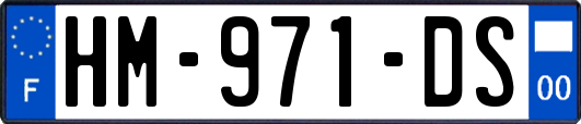 HM-971-DS