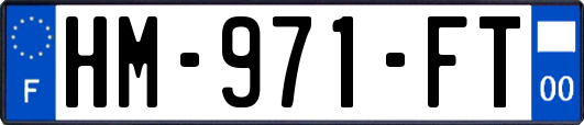 HM-971-FT