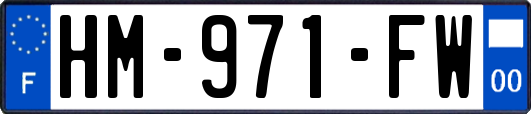 HM-971-FW