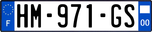 HM-971-GS