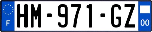 HM-971-GZ