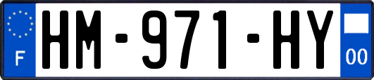 HM-971-HY