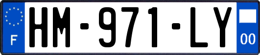 HM-971-LY
