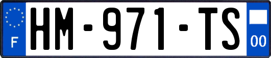 HM-971-TS
