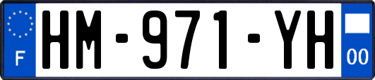 HM-971-YH