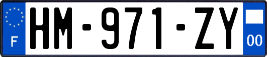 HM-971-ZY