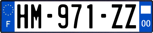 HM-971-ZZ