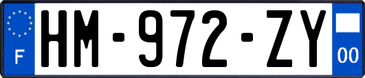 HM-972-ZY