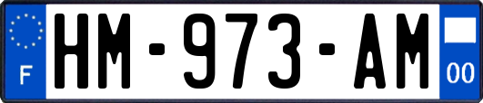 HM-973-AM