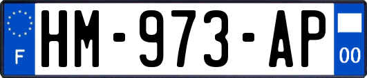 HM-973-AP