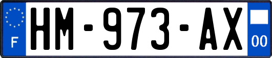 HM-973-AX