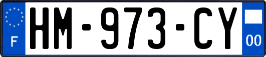HM-973-CY
