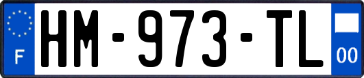 HM-973-TL