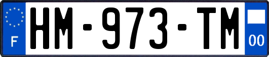 HM-973-TM